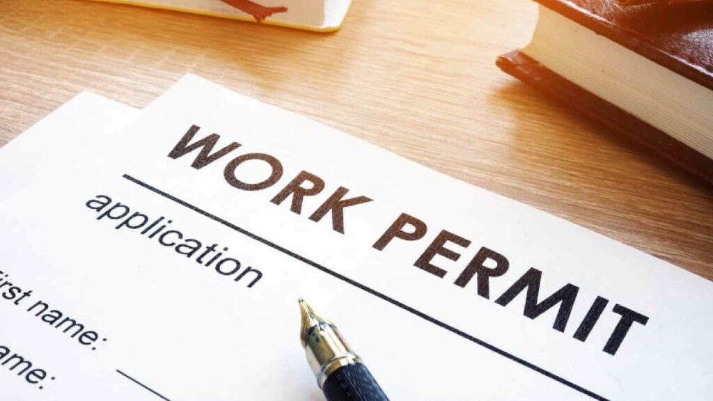 work permit number UAE